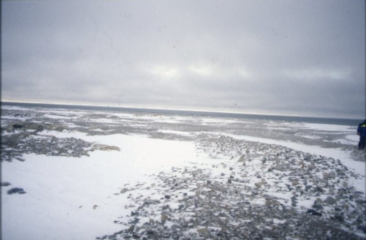 Foto från Vitön mot havet.