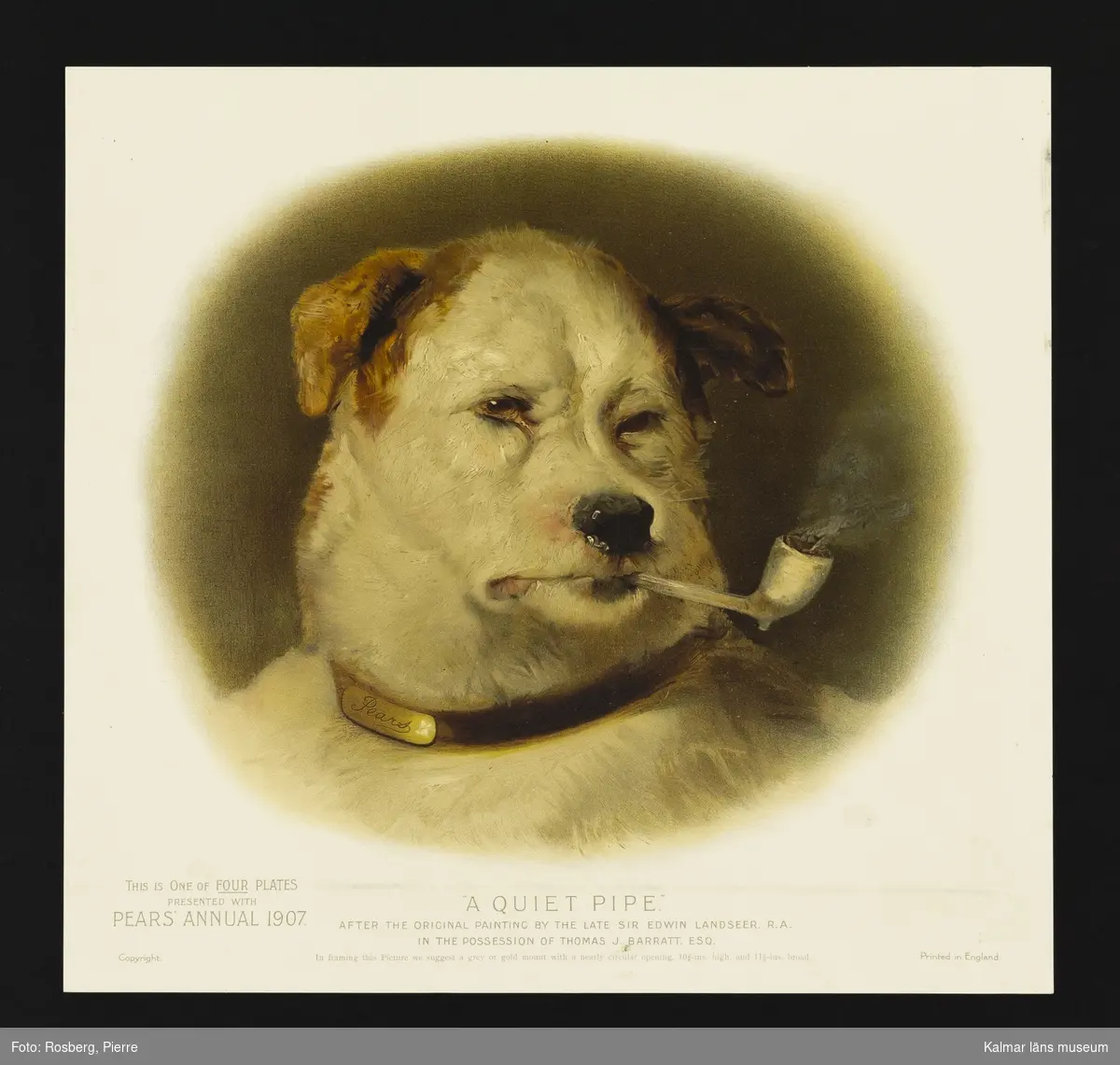 KLM 23970:49. Reklamaffisch. Text: "A Quite Pipe" after the original painting by the late Sir Edwin Landseer. R.A. In the possession of Thomas J Barrat, ESQ. Bild: En hund som röker pipa. In framing this Picture we suggest a grey or gold mount with nearly circular opening 10 3/4 -ins high and 11 1/4-ins broad. This is one of four Plates presented with Pears Annual 1907. Copyright. Printed in England.