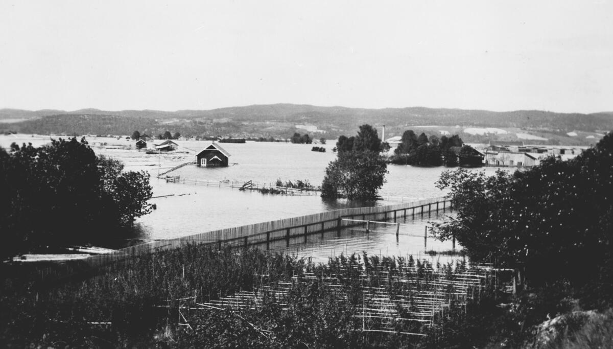 Foto: Anno Norsk Skogmuseum / Foto: Anno Norsk Skogmuseum