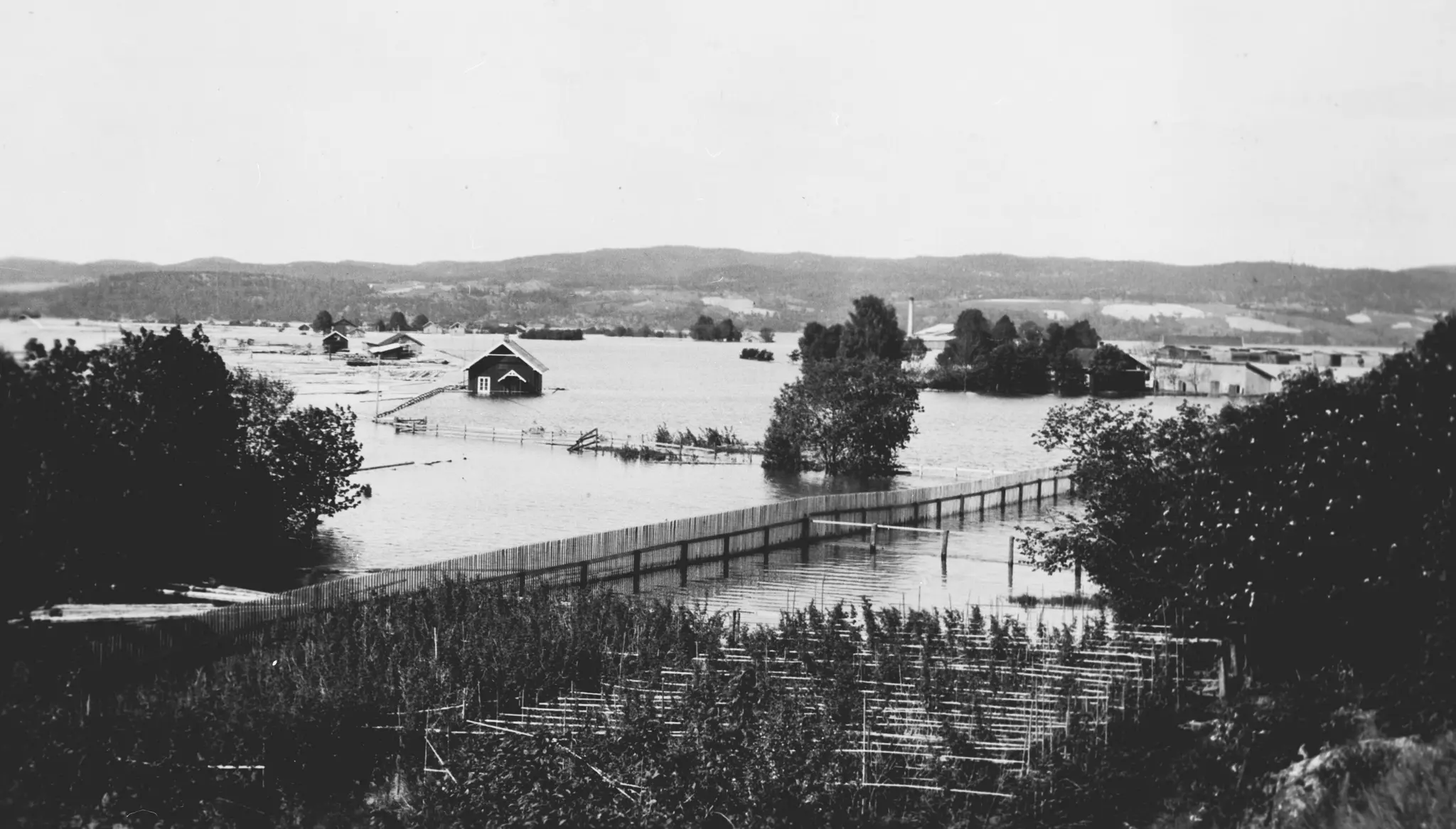 Foto: Anno Norsk Skogmuseum