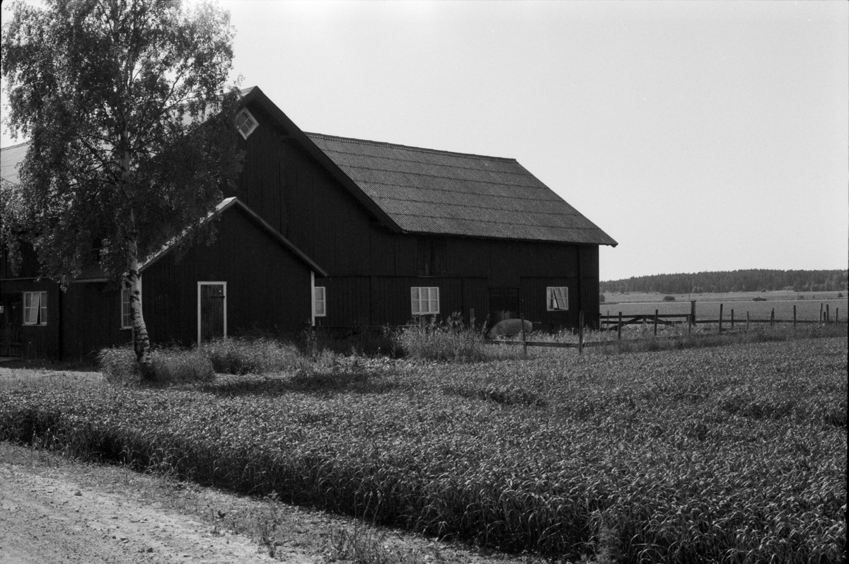 Ladugård, Uggelsta 3:4, Åkerby socken, Uppland 1983