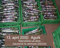Matproduksjon Jæren 2000-2001