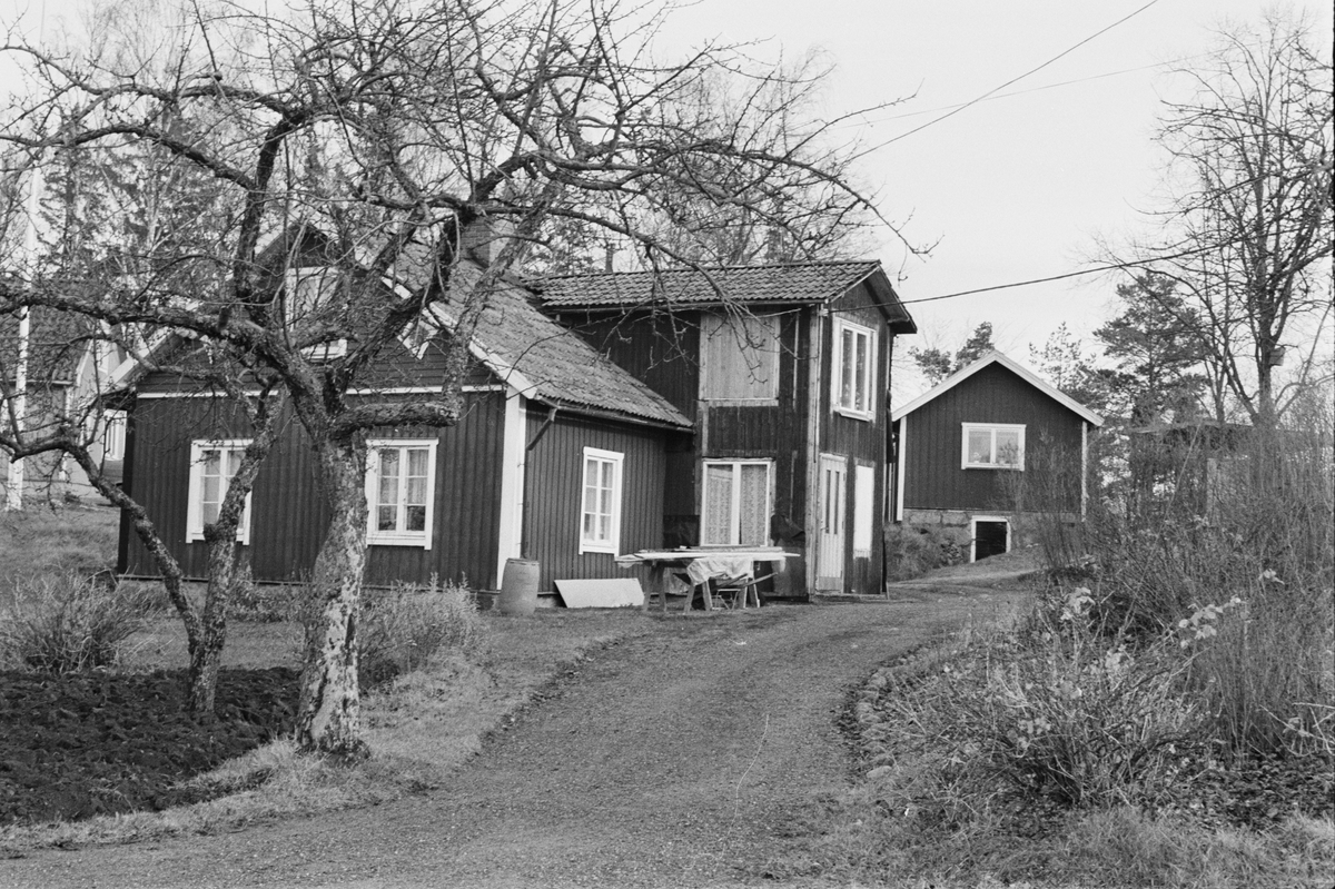 Bostadshus och källarstuga, Svia 3:7, Enbacken, Vaksala socken, Uppland 1978