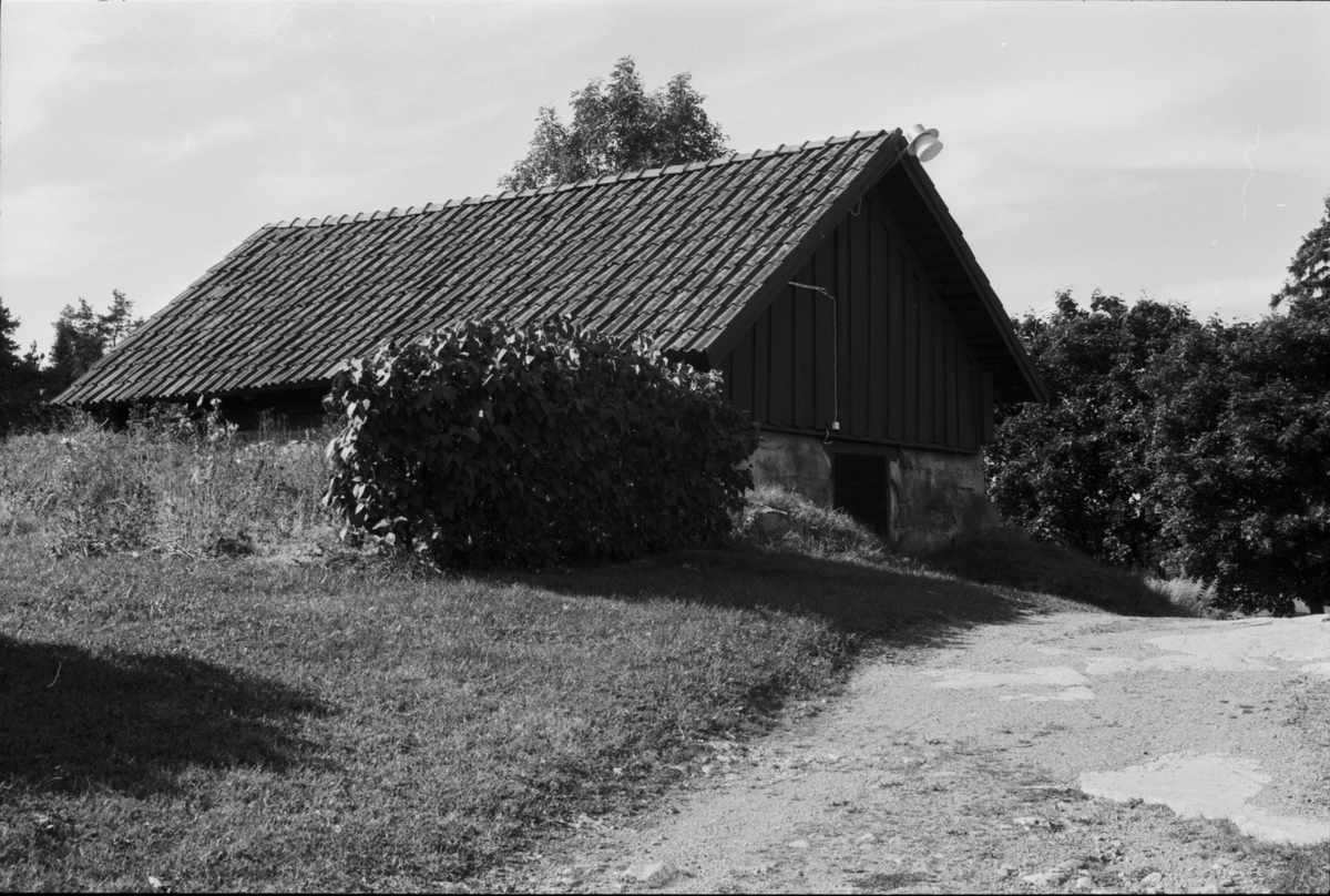 Källare, Kil 1:1, Lilla Kil, Vänge socken, Uppland 1984