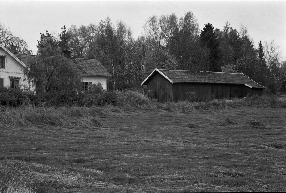 Bostadshus och uthuslänga, Ålands-Västerby 3:4, Åland socken, Uppland 1984