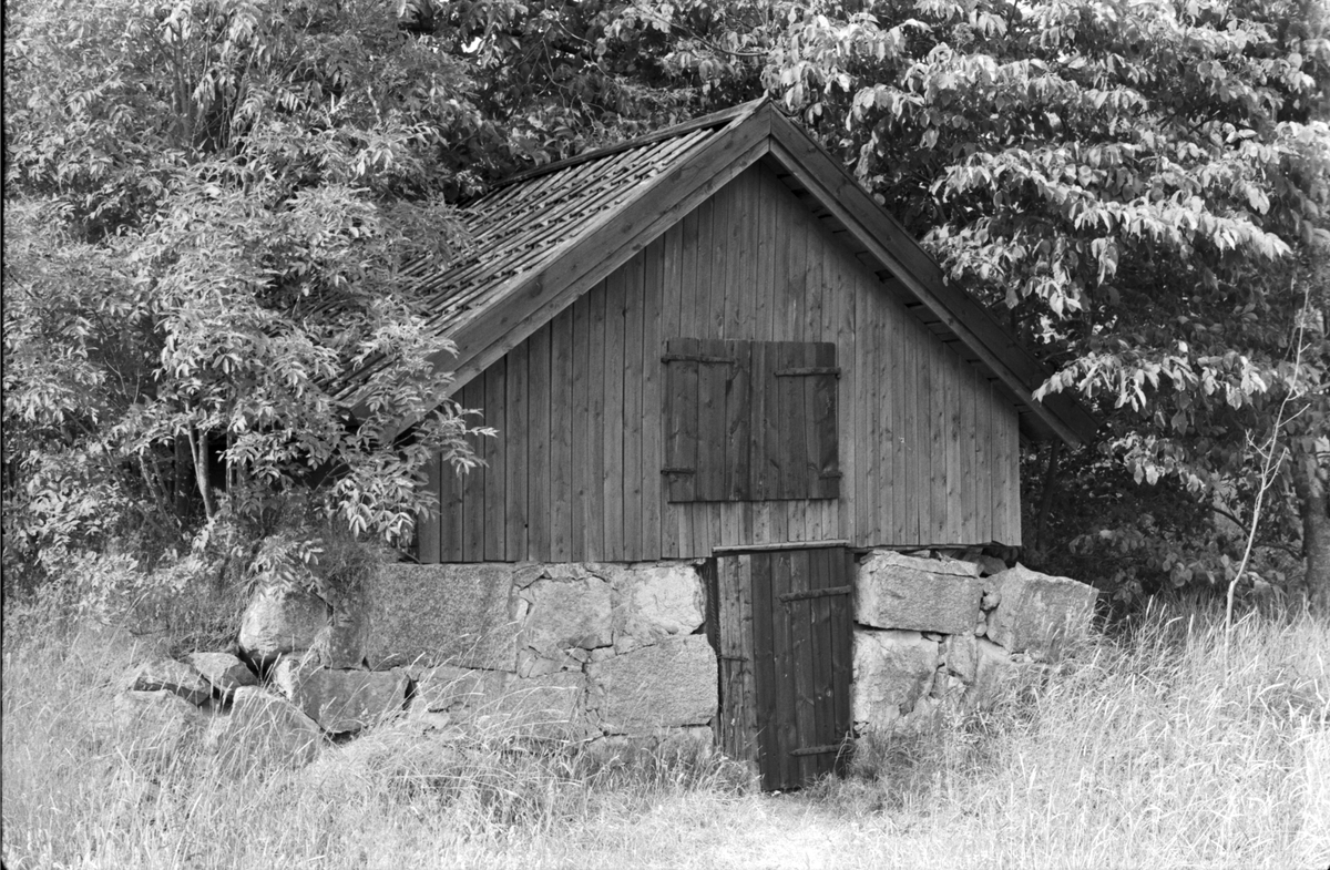 Källare, Nåstuna 9:1, Vänge socken, Uppland 1975