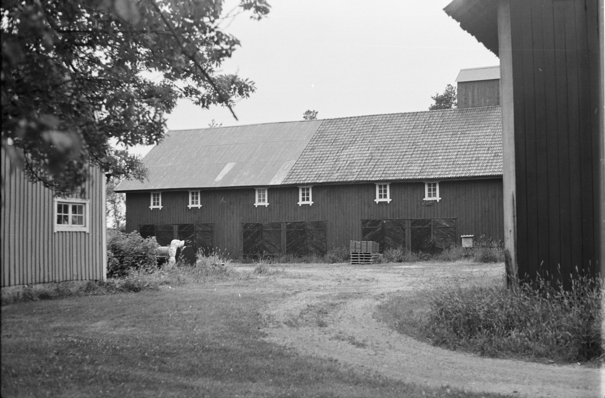 Ladugård och loge, Almby 2:1, Stora Almby, Vänge socken, Uppland 1975