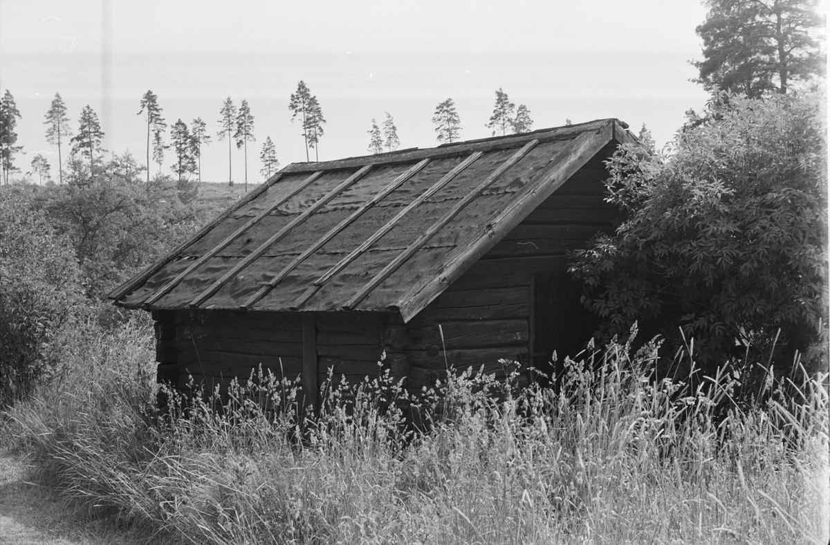 Fähus, Ekeby 7:1, Kvarntorp, Vänge socken, Uppland 1975