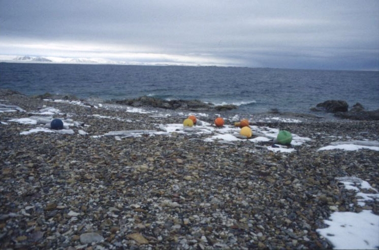 Drivved och kulörta flytbojar från fiskenät på stranden vid Nordre Russöya i Murchisonfjorden.