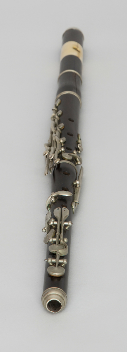 Fløyten med seks fingerhull og 13 klaffer. Den er trolig laget av treslaget grenadill og er konisk boret. Ringer og klaffer er av metall. Blåsehullet er plassert i et innfelt elfenbenstykke.