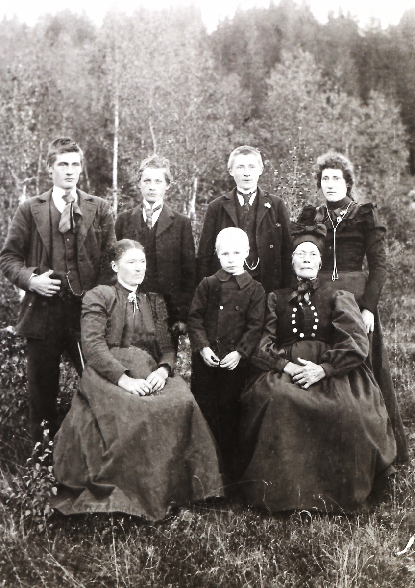 Bak: Kittil Elveseter f. 1880, Harald Orm, Kristian Elveseter f. 1883, Marthe Elveseter. g. Orlistullen (1877 - 1935).
Foran: Kristi Elveseter. f. Kasa (1850 - 1941), Halvor Elveseter. (1891 - 1961),
Marthe Kasa Elveseter (1823 - 1920).
(Barn ( untatt H. Orm ), deres mor og mormor.)