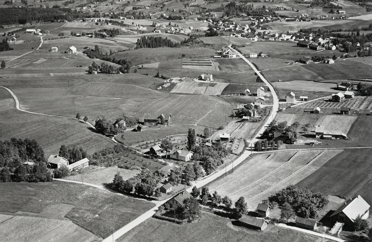 Flyfoto av Langkåshaugen 5. juli 1952