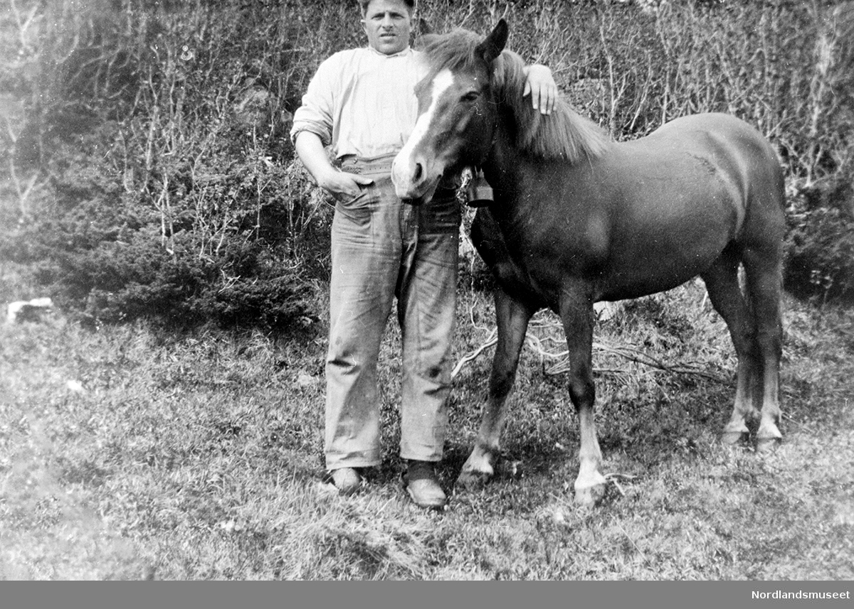 Karl Stavnes og den første hesten hans som var en Nordlandshest.