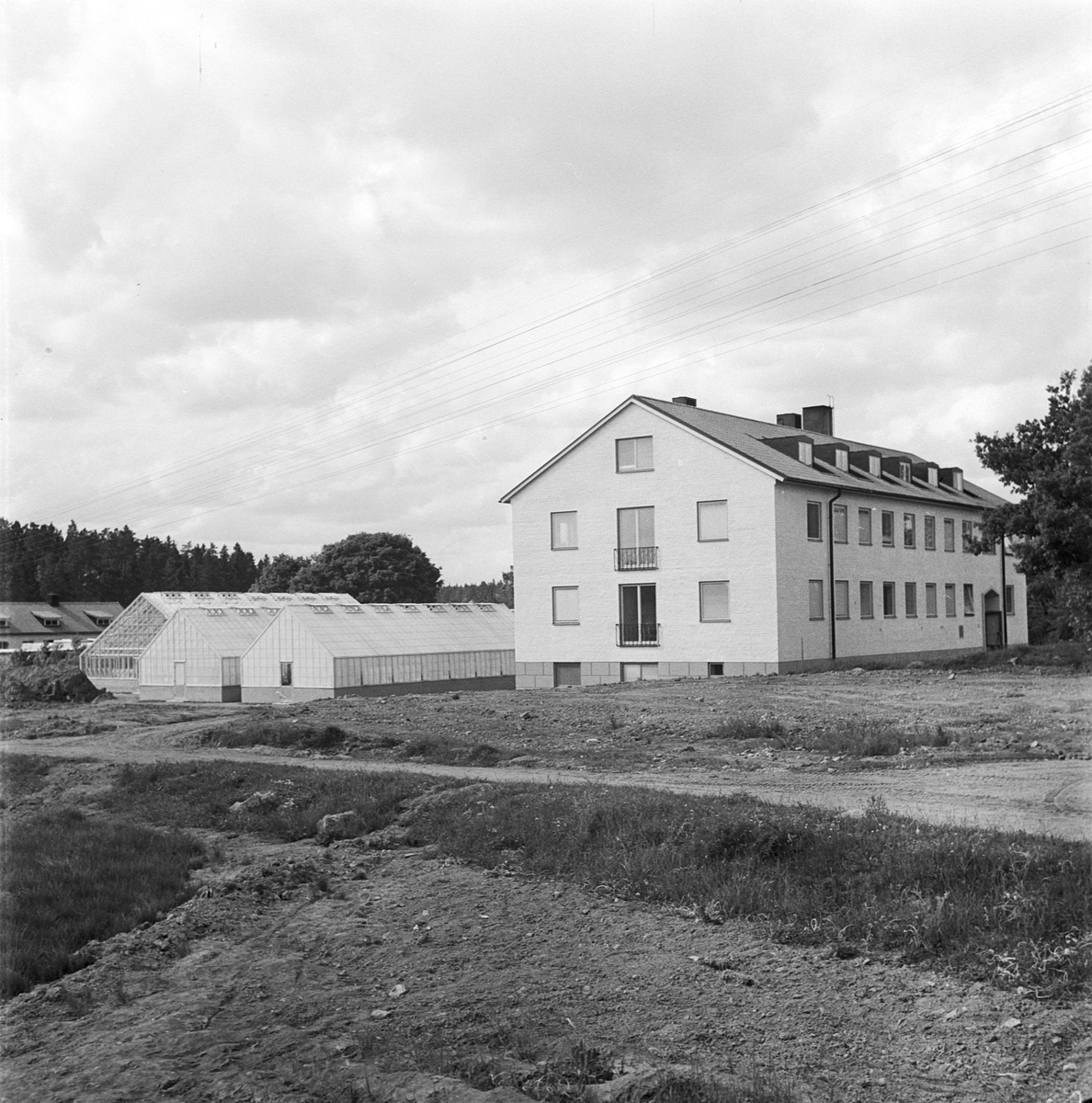 Lantbrukshögskolan, Genetiska institutionen, Uppsala 1954