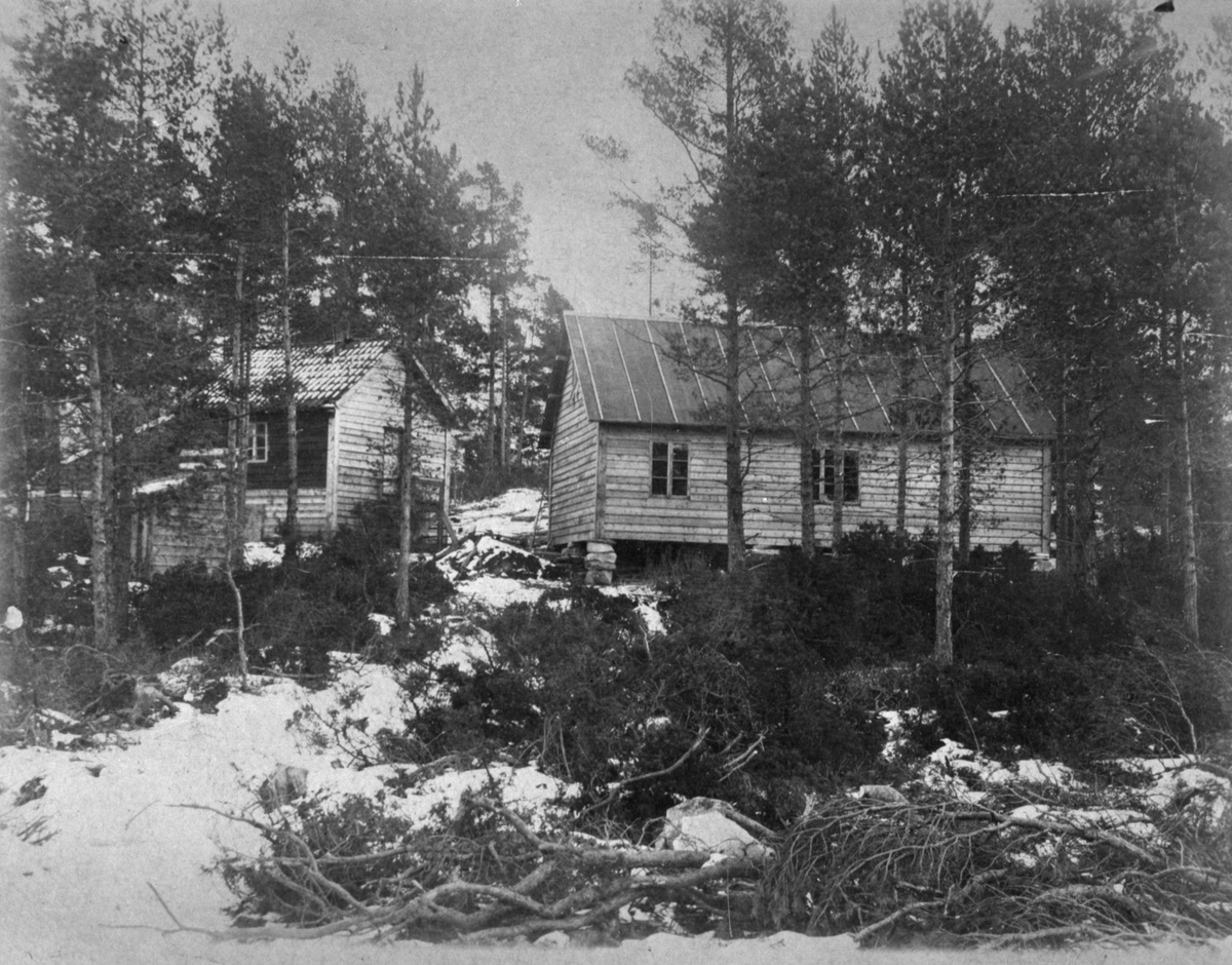 Bureisingsbruket Lundegard i Dalsbygda på Bjoa, ca. 1920. Til venstre er hestestallen, til høgre felleshus.