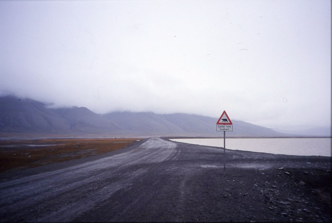 Låga moln över en grusväg utmed Adventfjorden i närheten av Longyearbyen. En vägskylt varnar för isbjörn: "Gjelder hele Svalbard".