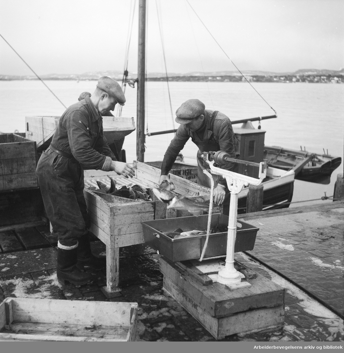 Fiskehandlere i Oslo havn. Juni 1954.