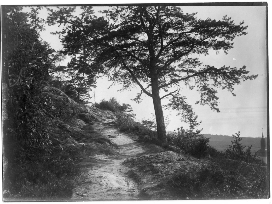 En stig på Grännaberget, nedanför till höger syns kyrktornet i Gränna.