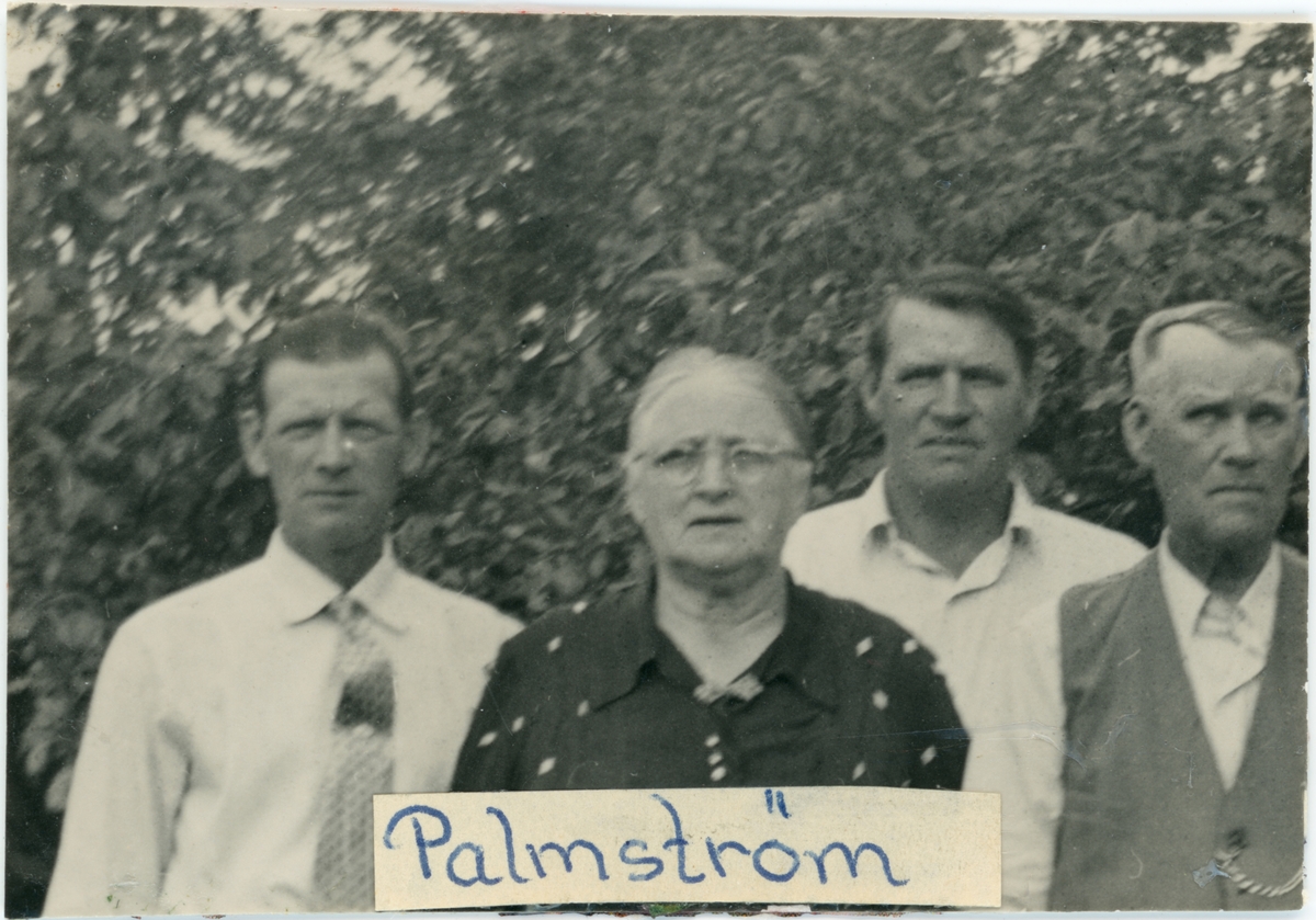 "Palmström"