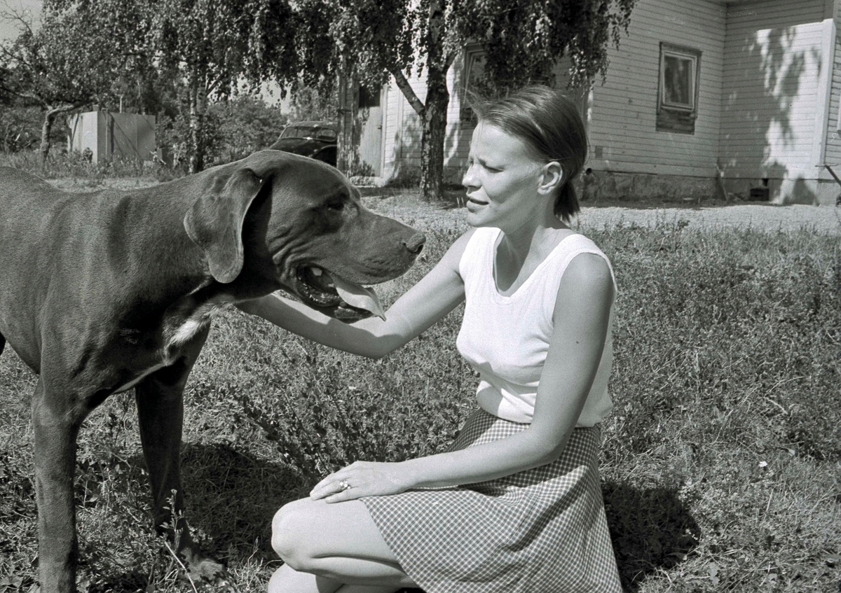 Britta Pettersson med hunden Målman (pointer) på Haga