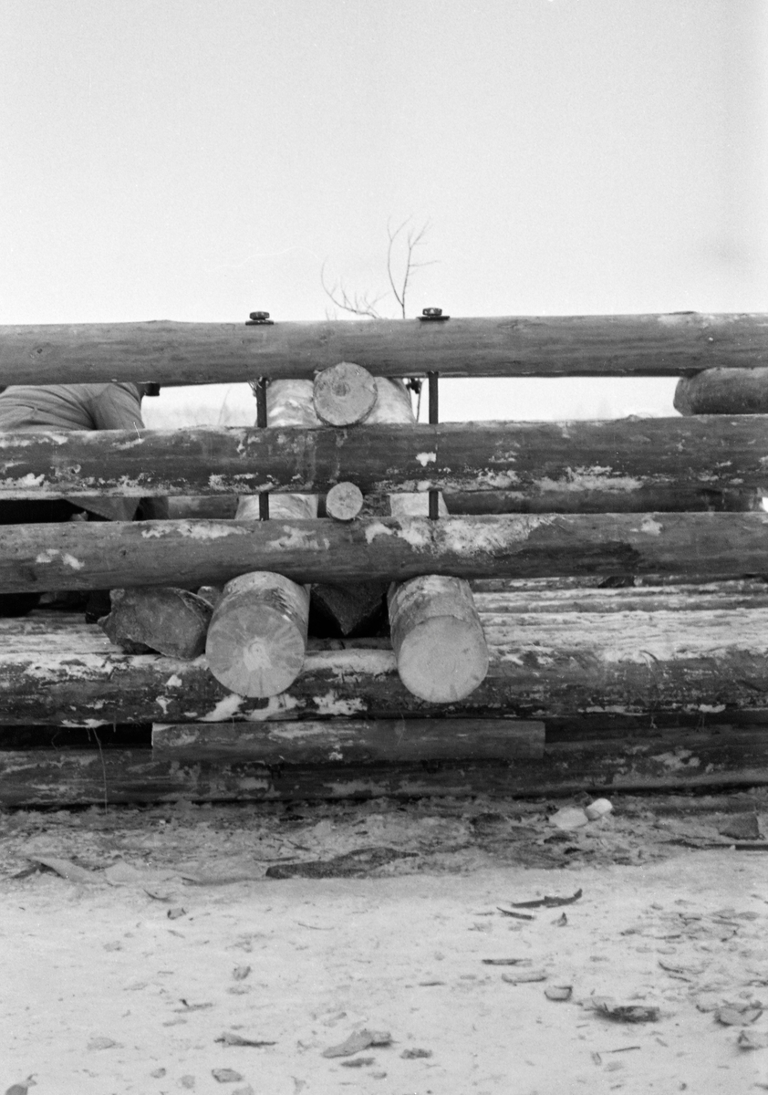 Arbeid med lensekar («bunnkar») ved Strøm i Sør-Odal vinteren 1955. Lensekaret ble bygd som ei firkantet kasse av rundtømmer, der stokkenes ytterende krysset hverandre i hjørnene. I botnen var det et golv av rundtømmer. Dette fotografiet er tatt mot et punkt midt på «kassa», der to tømmerstokker gikk skrått fra golvet oppå mot mellomrommet mellom de to øverste omfarene. Bildet er tatt mot den sida der de skråttliggende stokkene er forankret i golvet ved hjelp av solide jernbolter. «Tømmerkista» skulle fylles med stein slik at den sank ned på elvebotnen og ble liggende der når isen gikk.