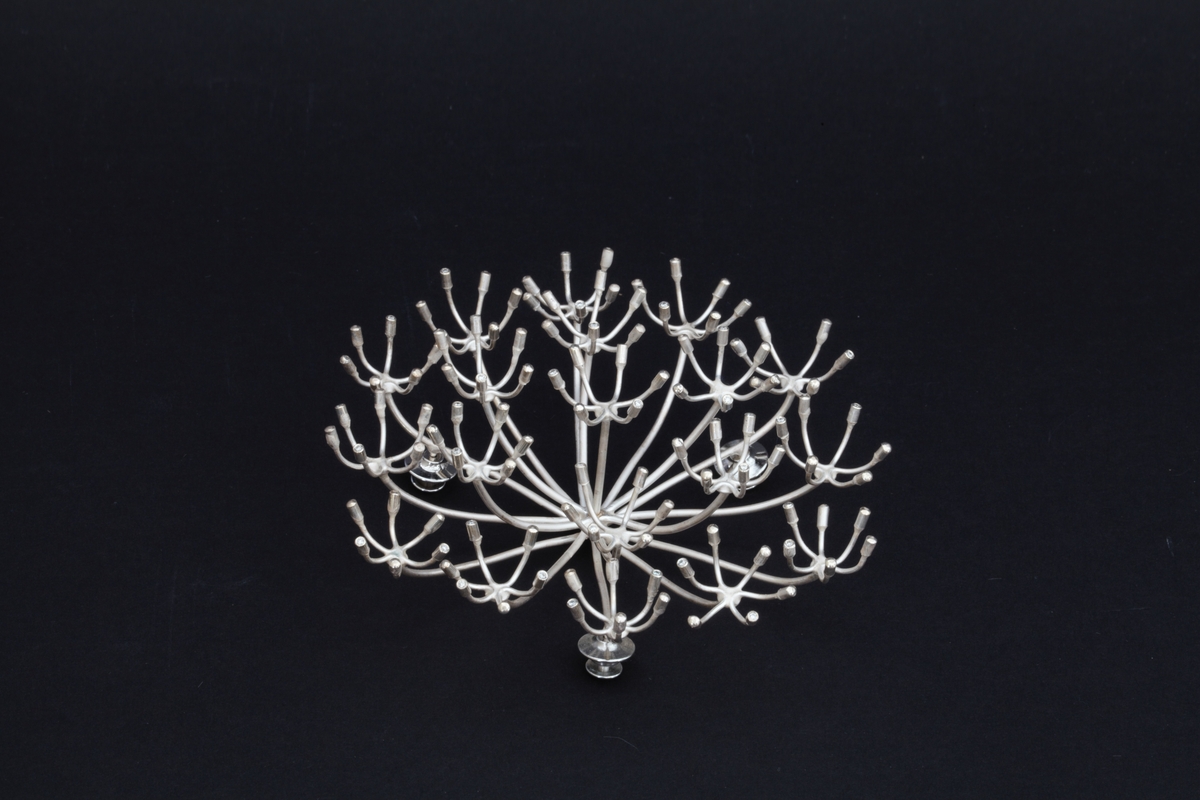Brosje i sølv og diamanter, hvis utforming minner om skjermblomster. Den kan festes til kroppen via tre nåler på baksiden.