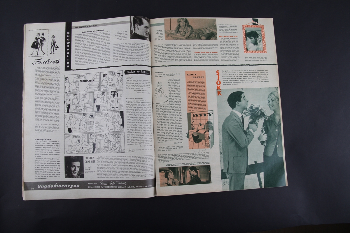 Magasin med rektangulær form som inneholder diverse artikler, oppskrifter, tegneserier og reklame.