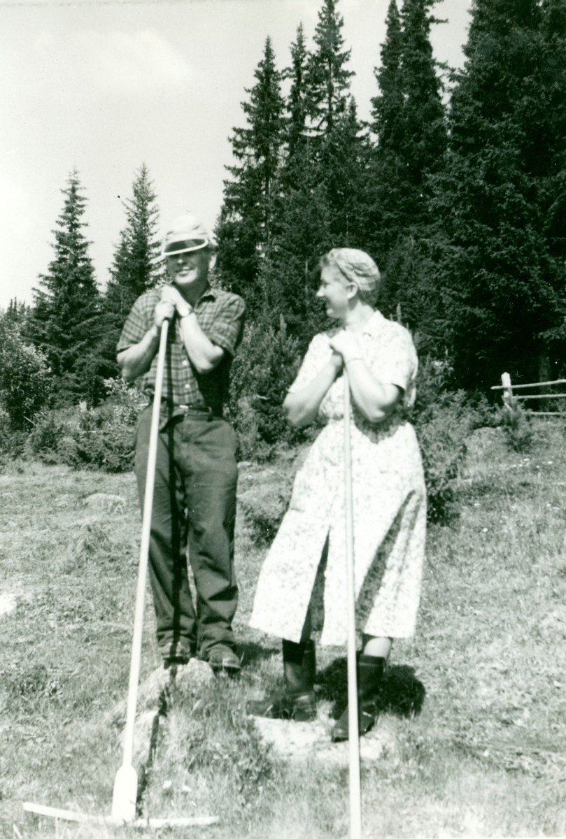Slåttonn i 1950 åra. Halvor Brøto og Ågot Olavsbråten Brøto har pause i rakingen