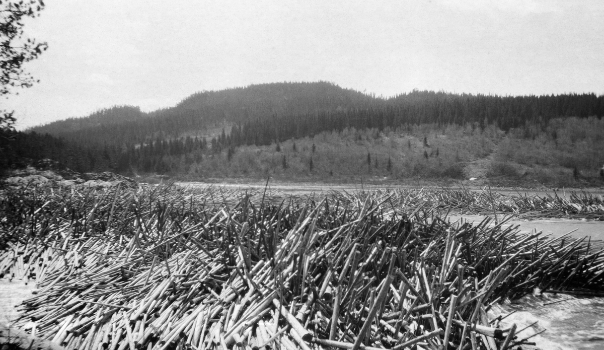 Tømmerhaug mot Tyvholmen i Glomma ved Braskeridfoss i Våler i Hedmark i 1919. Her hadde strømmen i elva pakket tømmeret ihop, slik at stokkene sprikte i mange retninger.