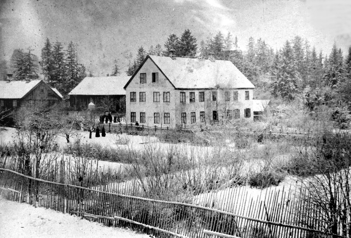 Gjøvik Gård, vinter - Mjøsmuseet / DigitaltMuseum