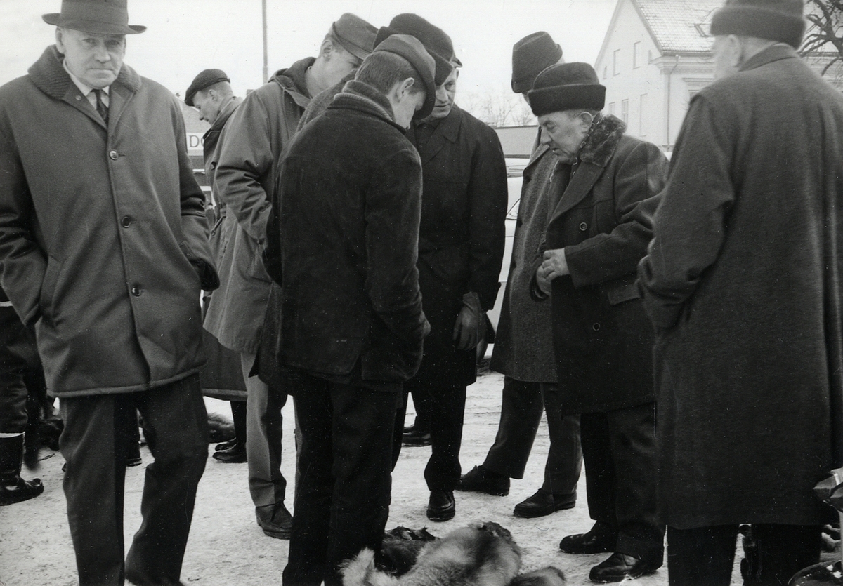 Pälsmarknad, Sigfridsmässan, 17 feb. 1965.