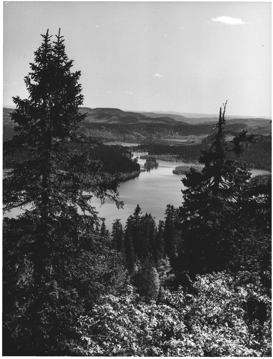 Mot Sandungen og Hakloa fra Kirkeberget - DEXTRA Photo / DigitaltMuseum