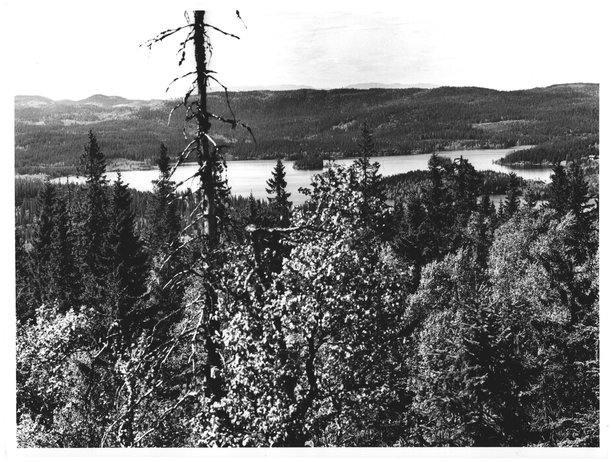 Nordmarka, Utsikt fra Kirkeberget til Katnosa