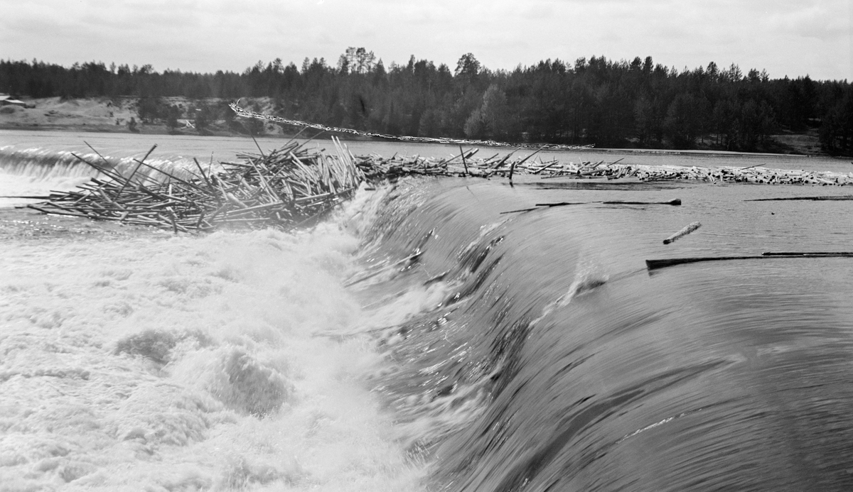 Tømmerfløting i Glomma ved Skjefstadfossen i Heradsbygda i Elverum (Hedmark) i 1933. Fotografiet er tatt fra det store betongkaret ved dammens østre landfeste. Skjefstadfossdammen som skulle stuve opp vann på motstrøms side til det kraftverket som ble bygd ved den vestre elvebredden i 1909-1910. Krona på denne om lag 300 meter lange dammen ble støpt noe lavere i den østre enden med henblikk på at det skulle etableres en strøm som trakk mye av fløtingstømmeret mot den østre delen av elveløpet, der det var djupest og dermed minst fare for at tømmeret skulle sett seg fast og danne hauger som det kunne bli arbeidskrevende å løsne. Her ser det imidlertid ut til å ha bygd seg opp en haug ved den midtre delen av dammen. Mye tyder på at dette startet med at en del stokker satte seg fast i fallsona under dammen, og at dette tømmeret deretter fanget annet fløtingsvirke, slik at haugen vokste videre oppover på motstrøms side av damkrona.