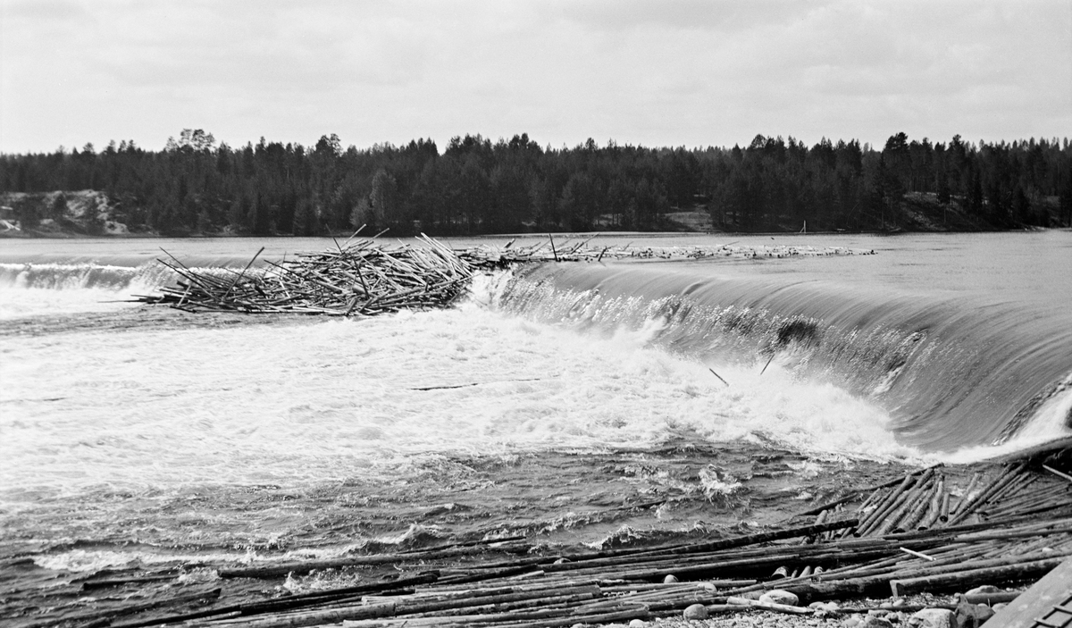 Tømmerfløting i Glomma ved Skjefstadfossen i Heradsbygda i Elverum (Hedmark) i 1933. Fotografiet er tatt fra elveskråningen på østre side av vassdraget, like nedenfor den armerte betongdammen som skulle stuve opp vann på motstrøms side til det kraftverket som ble bygd ved den vestre elvebredden i 1909-1910. Krona på denne om lag 300 meter lange dammen ble støpt noe lavere i den østre enden med henblikk på at det skulle etableres en strøm som trakk mye av fløtingstømmeret mot den østre delen av elveløpet, der det var djupest og dermed minst fare for at tømmeret skulle sett seg fast og danne hauger som det kunne bli arbeidskrevende å løsne. Her ser det imidlertid ut til å ha bygd seg opp en haug ved den midtre delen av dammen. Mye tyder på at dette startet med at en del stokker satte seg fast i fallsona under dammen, og at dette tømmeret deretter fanget annet fløtingsvirke, slik at haugen vokste videre oppover på motstrøms side av damkrona. I forgrunnen ser vi også en del stokker som hadde blitt liggende ved elvebredden etter at flomvannføringa begynte å avta.