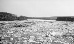 Tømmer og is i Glomma, fotografert våren 1928, idet isgangen