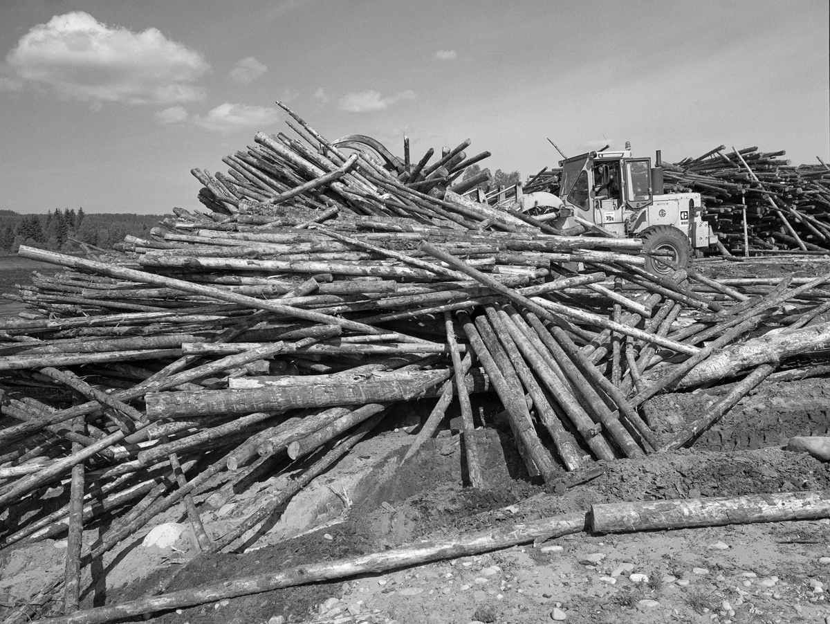 Maskinelt utislag av tømmer med griplaster fra terminalplassen ved Glomstadmora i Åmot, Hedmark. Slike terminalplasser var et produkt av det målbevisste tekniske rasjonaliseringsarbeidet i skogbruket etter 2. verdenskrig. En av forutsetningene for slike plasser var at en stadig større del av avvirkningen ble hentet med lastebiler på de mange nye skogsbilvegene, slik at tømmeret kunne samles på noen få utislagssteder.

I 1985, som ble det siste året med tømmerfløting i Glomma, var Glomstadmora det øverste utislagsstedet, Her lå det lagret 10 000 fastkubikkmeter tømmer som skulle slås på vassdraget ved hjelp av fire griplastere. Hver maskin skulle kunne ekspedere om lag 500 kubikkmeter om dagen. Følgelig regnet man med å kunne tømme plassen i løpet av fem dager. Deretter ble maskinene flyttet nedover vassdraget, der det lå mer tømmer som skulle slås på vannet og fløtes i retning Borregaard-fabrikken i Sarpsborg.

Se fanen «Opplysninger».