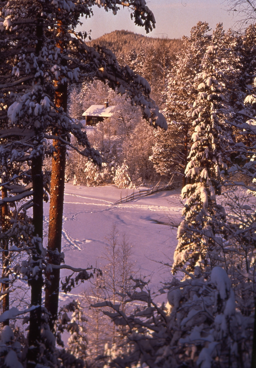 Abert Visktens torp vid Ängratörn. Vinterlandskap med byggnad omgärdad av skog och berg.