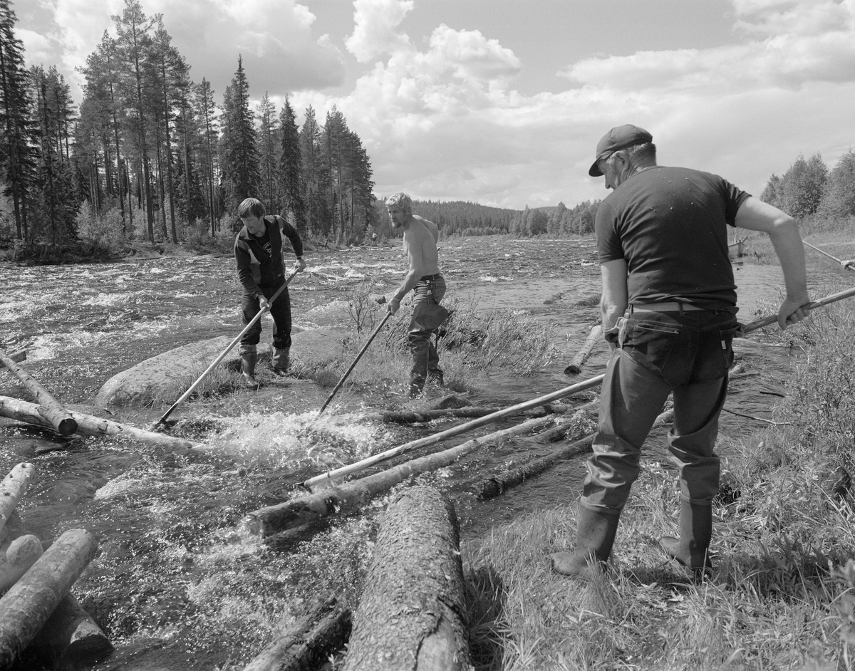 Sluttrensk i elva Stor-Grøna i Trysil, Hedmark. Fløtere i arbeid med å løsne tømmer som har lagt seg langs elvebredden.