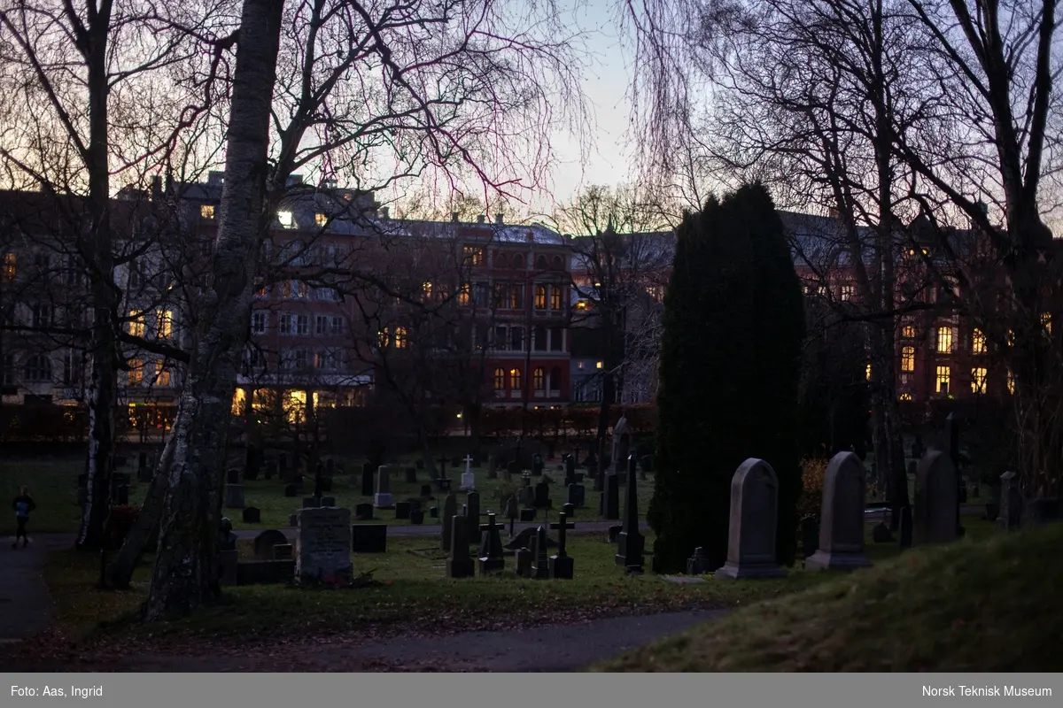 Sen ettermiddag på Vår Frelsers gravlund, Oslo, sett mot Ullevålsveien