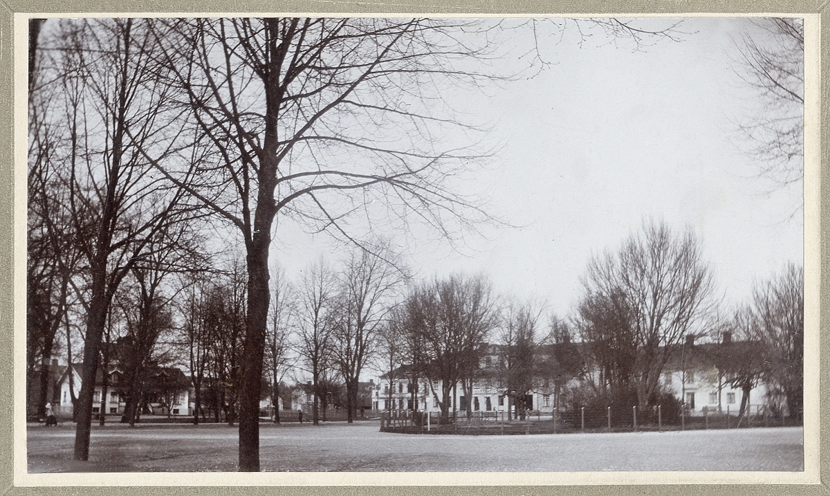 Gamla Oxtorget (numera Teatertorget), Växjö, ca 1900. 
Till höger syns husen i kvarteret Ansgarius (5 och 4) och kvarteret Hörnet 5 llängs Nygatan. Man anar det gamla badhuset mellan träden till vänster.