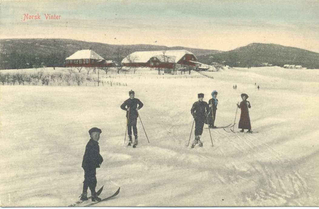 Vinter - Skiløpere