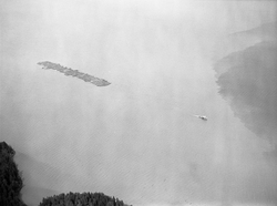 Tømmerslep over innsjøen Øyeren sommeren 1985.  Tømmer fra Ø