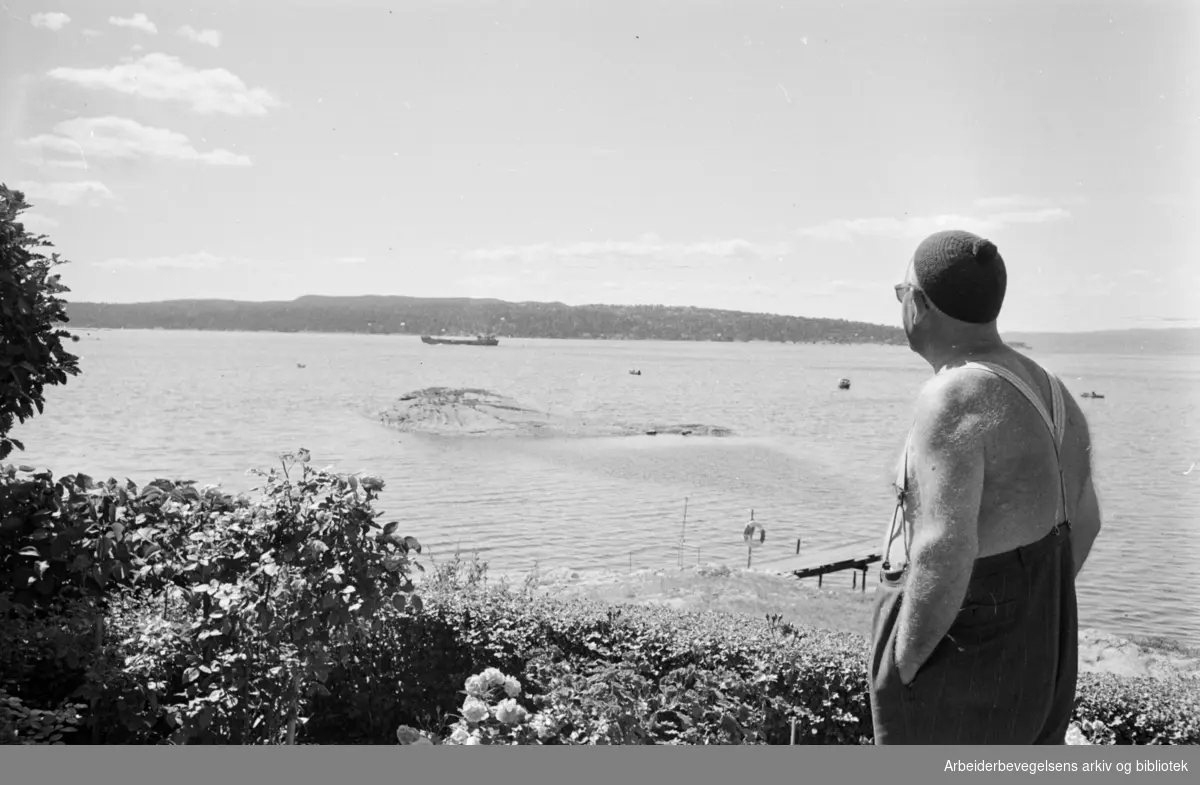 Øya Nakholmen, eller Nakkholmen (offisiell skrivemåte) i Oslofjorden. Juli 1963