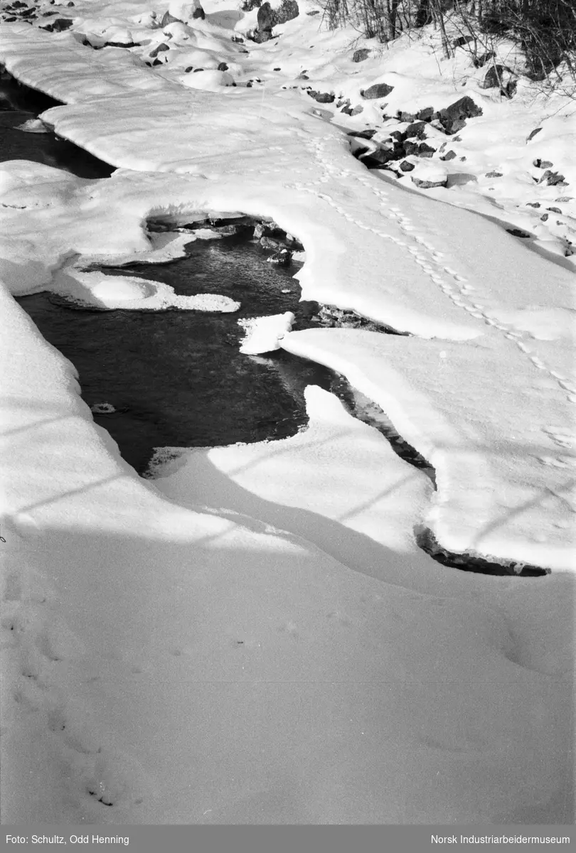 Spor etter dyreliv i snøen og isen på elven Gjøyst.
