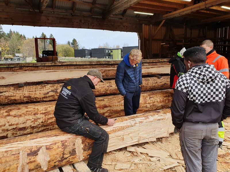 Her jobbes det med teljing, der vi bearbeider tømmerstokkene klar til laftingen. Foto: Sverresborg, Trøndelag folkemuseum (Foto/Photo)