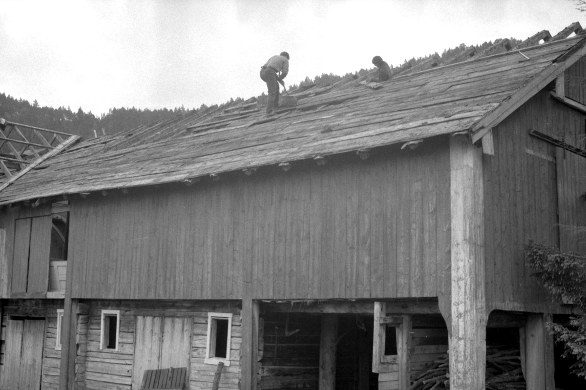 Dokumentasjonsbilder i serie av Opshaugløa i byrjinga av nedtaking og flytting til Sunnmøre Museum.