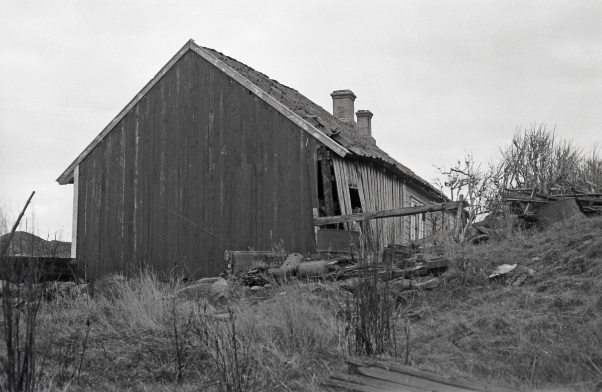 Registrering Kvilhaugsvik høsten -82