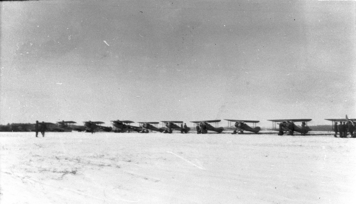 Flygplan Phönix C,I Dront och flygplan Tummeliten står på linje på flygfältet på Malmen, vintertid, 1920-tal. Fyra flygplan Dront och sex flygplan Tummeliten.
