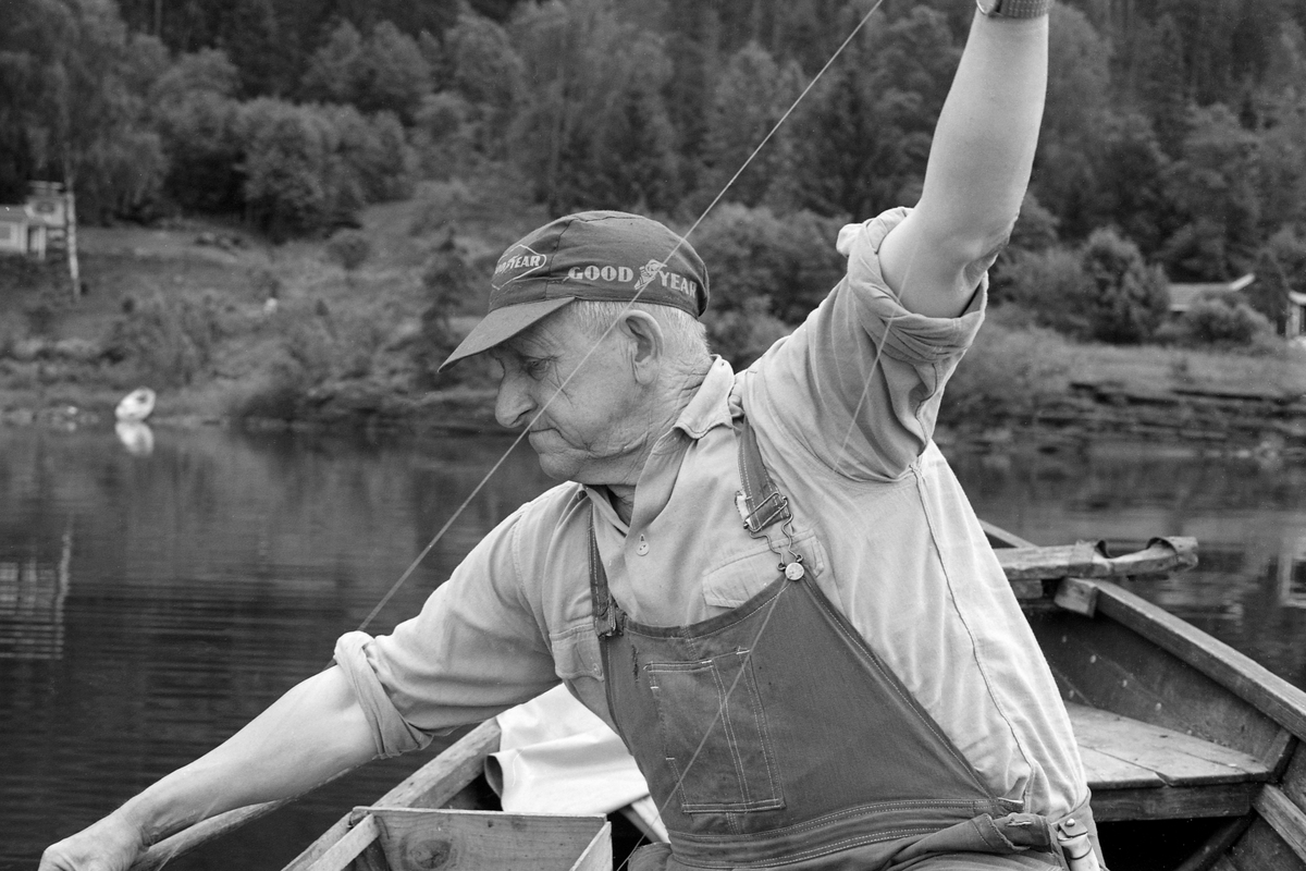 Yrkesfiskeren Paul Stensæter (1900-1982), fotografert i båten sin på Steinsfjorden, en sidearm til Tyrifjorden på Ringerike (Hole kommune) i Buskerud. Stensæter har fanget ørekyte (Phoxinus phoxinus) eller «kime», en liten karpefisk som ble brukt som agn under abborfiske med reiv. Reiven var ei lang line som det var fastknyttet fortommer med kroker på. Det var disse krokene som ble egnet med kime. Reivfisket var en sommeraktivitet. Fiskeren var kledd i dongerioverall og ei ensfarget flanellskjorte. På hodet hadde han ei skyggelue, et reklameprodukt fra bildekkprodusenten Goodyear.

I 1970-åra var etnologen Åsmund Eknæs fra Norsk Skogbruksmuseum flere ganger på besøk hos Paul Stensæter for å observere ham i arbeid og intervjue ham om fiskeaktivitetene på ulike tider av året. Museumsmannen sammenfattet den kunnskapen han tilegnet seg om reivfisket og bruken av «kime» som agn i Steinsfjorden slik:

«Det kanskje mest effektive redskap på abboren var reiven. Når to stykker fisket sammen var det mulig å ha abborreiv med opptil 1 000 kroker. Disse hang i ca. 30 cm lange tamser med 2 favners mellomrom. Vi fikk altså her ei line på omkring 4 kilometers lengde! Reiven ble ikke satt på samme sted to dager i trekk. De satte den «bassenget rundt», dvs. at de fulgte en bestemt rutine for å få fisket rundt hele fjorden.

Da Paul gikk over til å fiske aleine nøyde han seg med 600 kroker. Agn var, så lenge det var lovlig, levende ørekyte, «kimer», Kima hadde han gående i en vannstamp med et klede over. Kledet hang litt ned i vannet slik at det ble en liten dam på oversida. Oppi her tok han en neve kime etter hvert som han trengte det. Reiven ble oppbevart i ei kasse med slinner langs kantene til feste for krokene. Paul greide å egne og kaste uti ca. 100 kroker på et kvarter. Da måtte han også få båten framover etter hvert som reiven ble satt ut.»